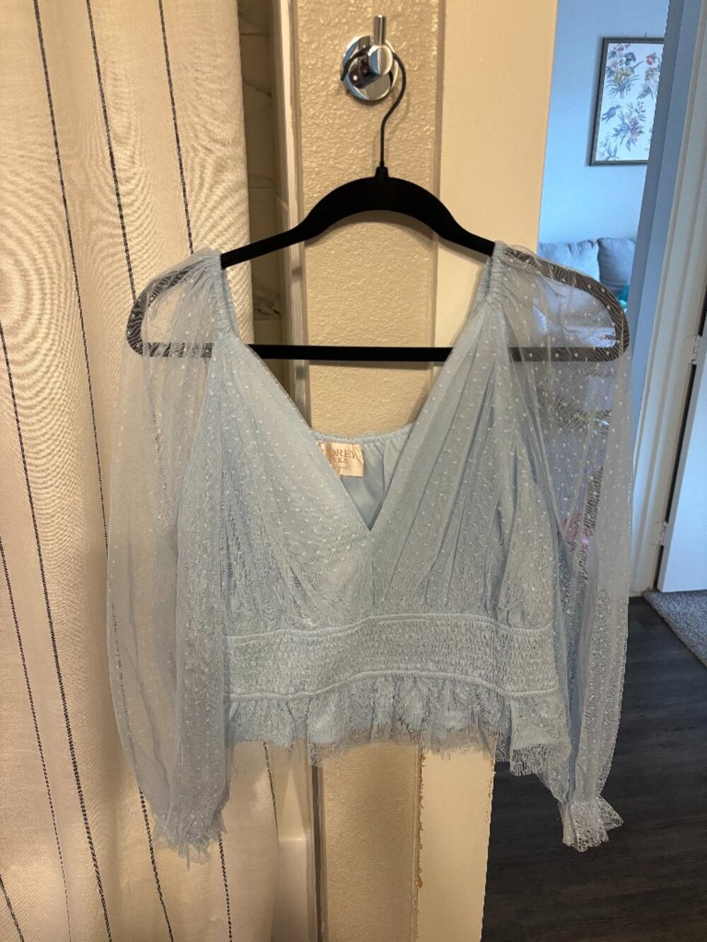 Light Blue Lace Long Sleeve Crop Top